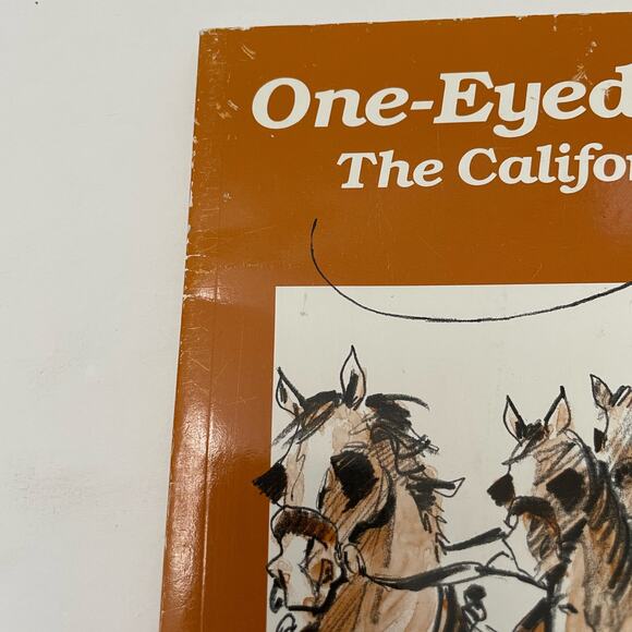 Signed Edition One-Eyed Charley by RA Reinstedt - Picture 3 of 7